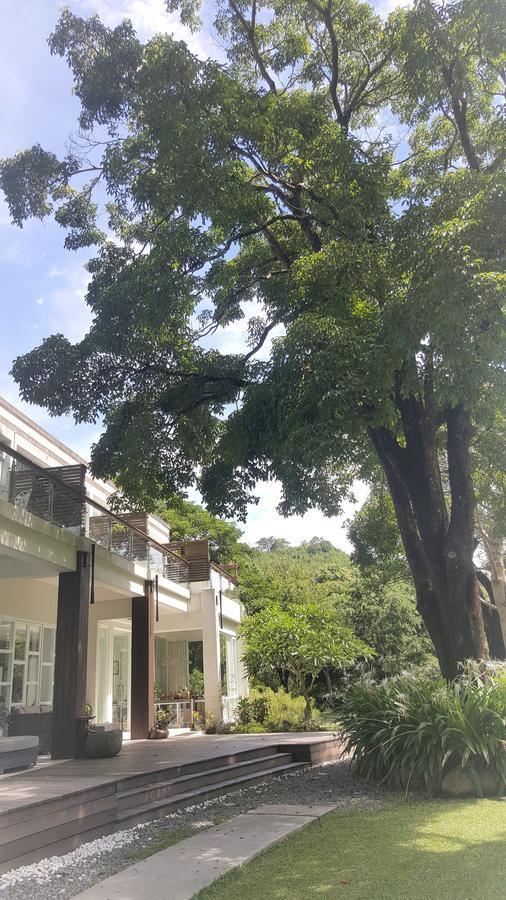דירות Shitan Around The Tree Manor חדר תמונה