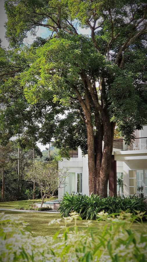 דירות Shitan Around The Tree Manor חדר תמונה